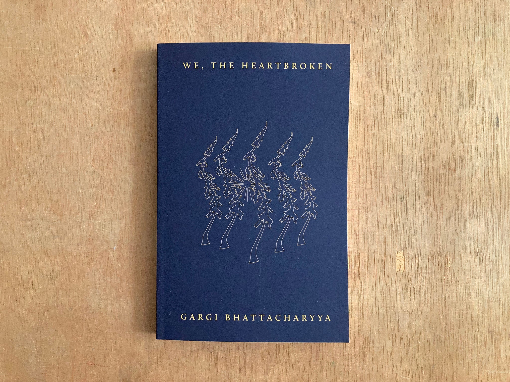 WE, THE HEARTBROKEN by Gargi Bhattacharyya