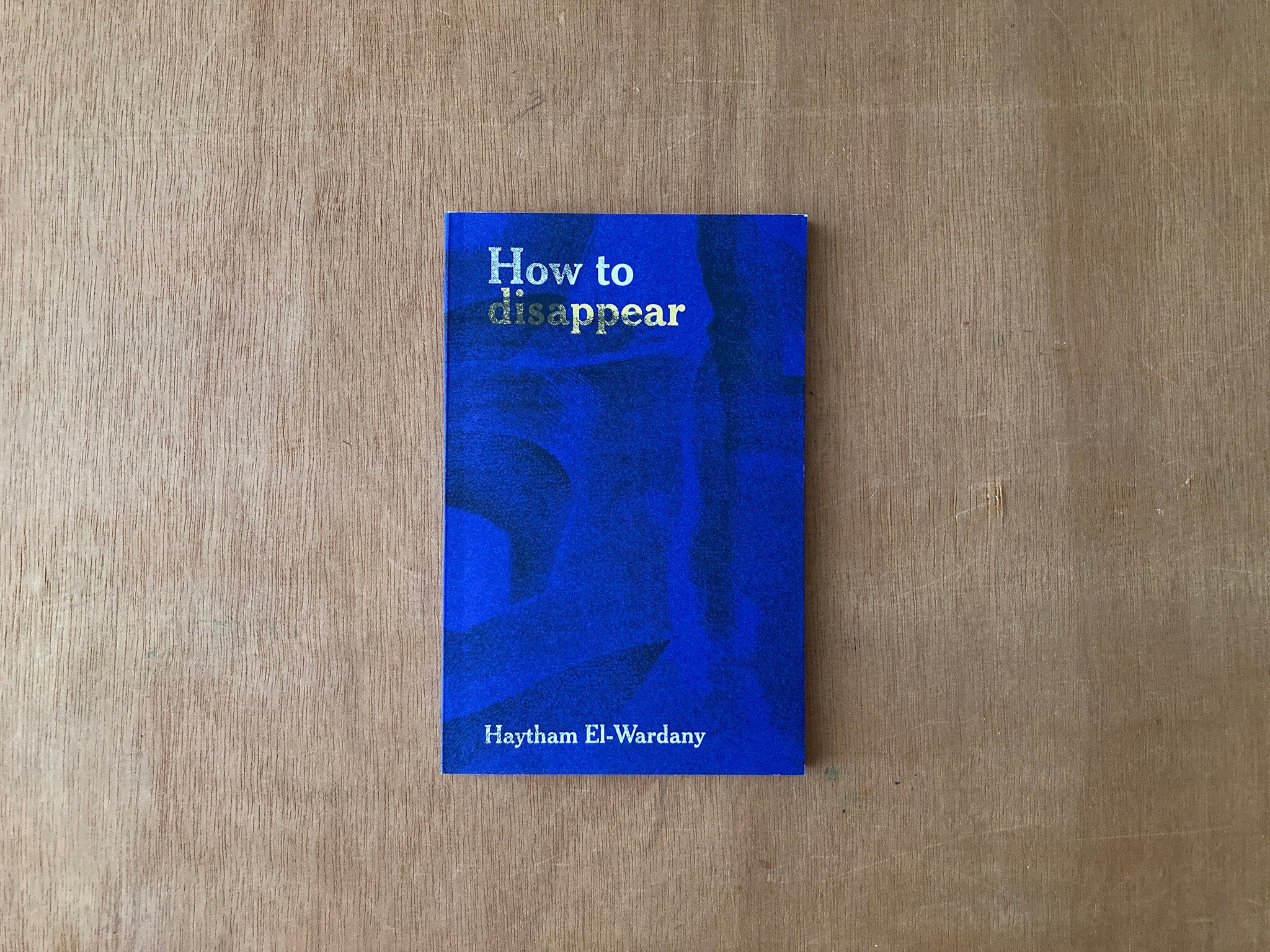 HOW TO DISAPPEAR by Haytham El-Wardany