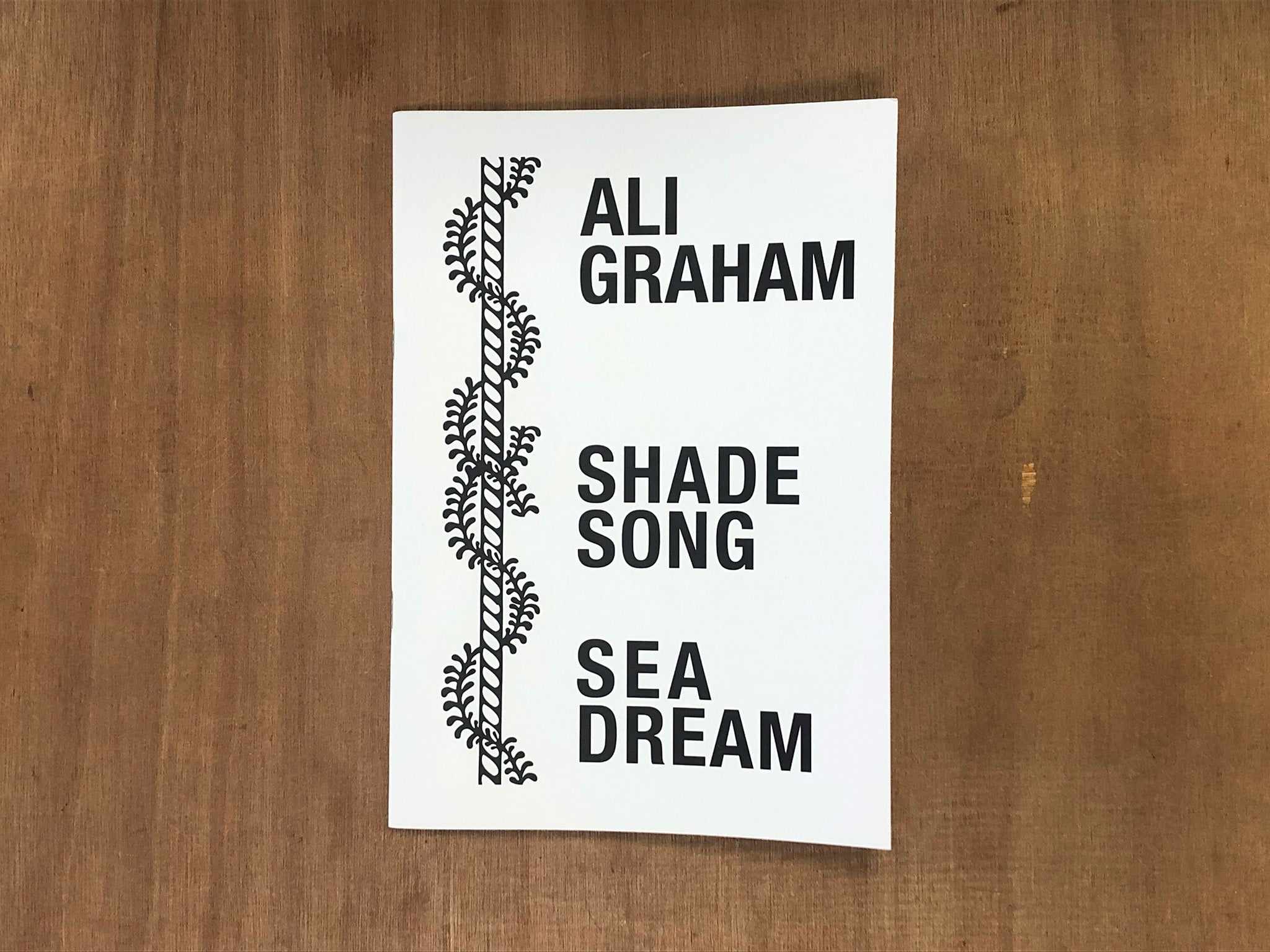 SHADE SONG SEA DREAM by Ali Graham