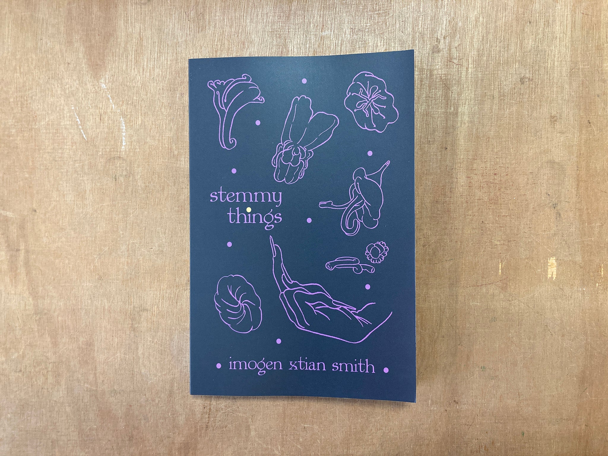 STEMMY THINGS by imogen xtian smith