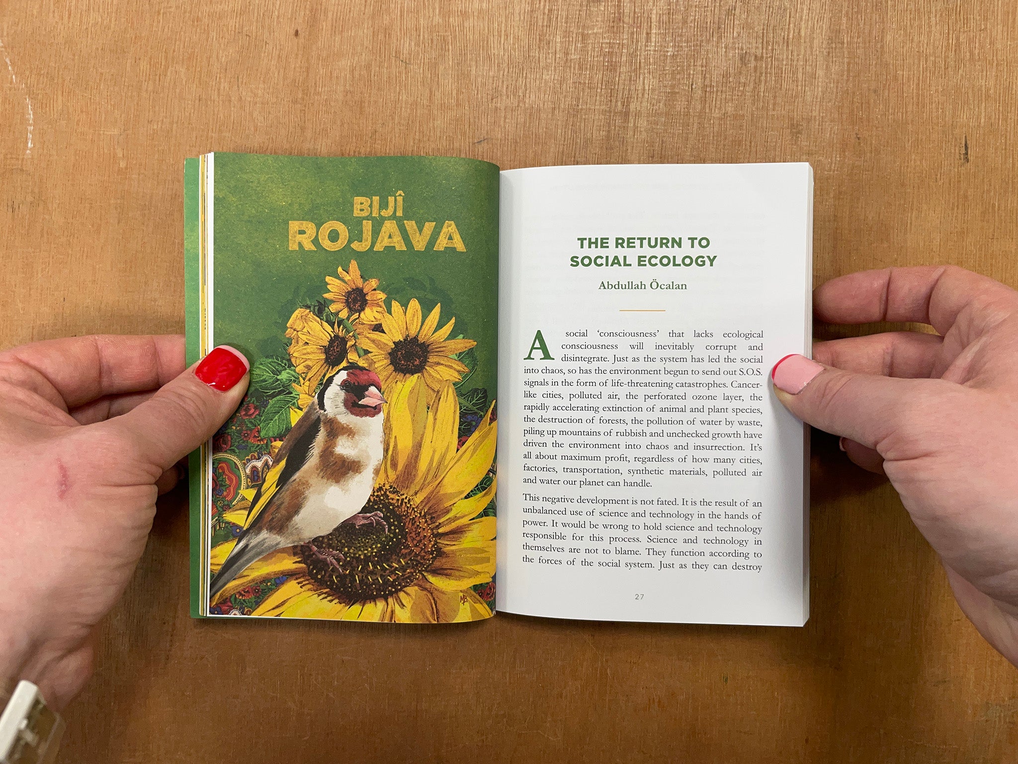 SOCIAL ECOLOGY AND THE ROJAVA REVOLUTION – Good Press — good books & more