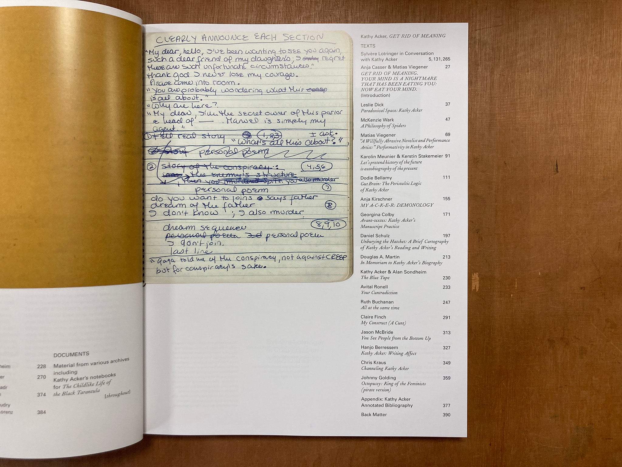 KATHY ACKER GET RID OF MEANING Edited By Anja Casser Matias Viegener kathy-acker-get-rid-of-meaning-edited-by-anja-casser-matias-viegener