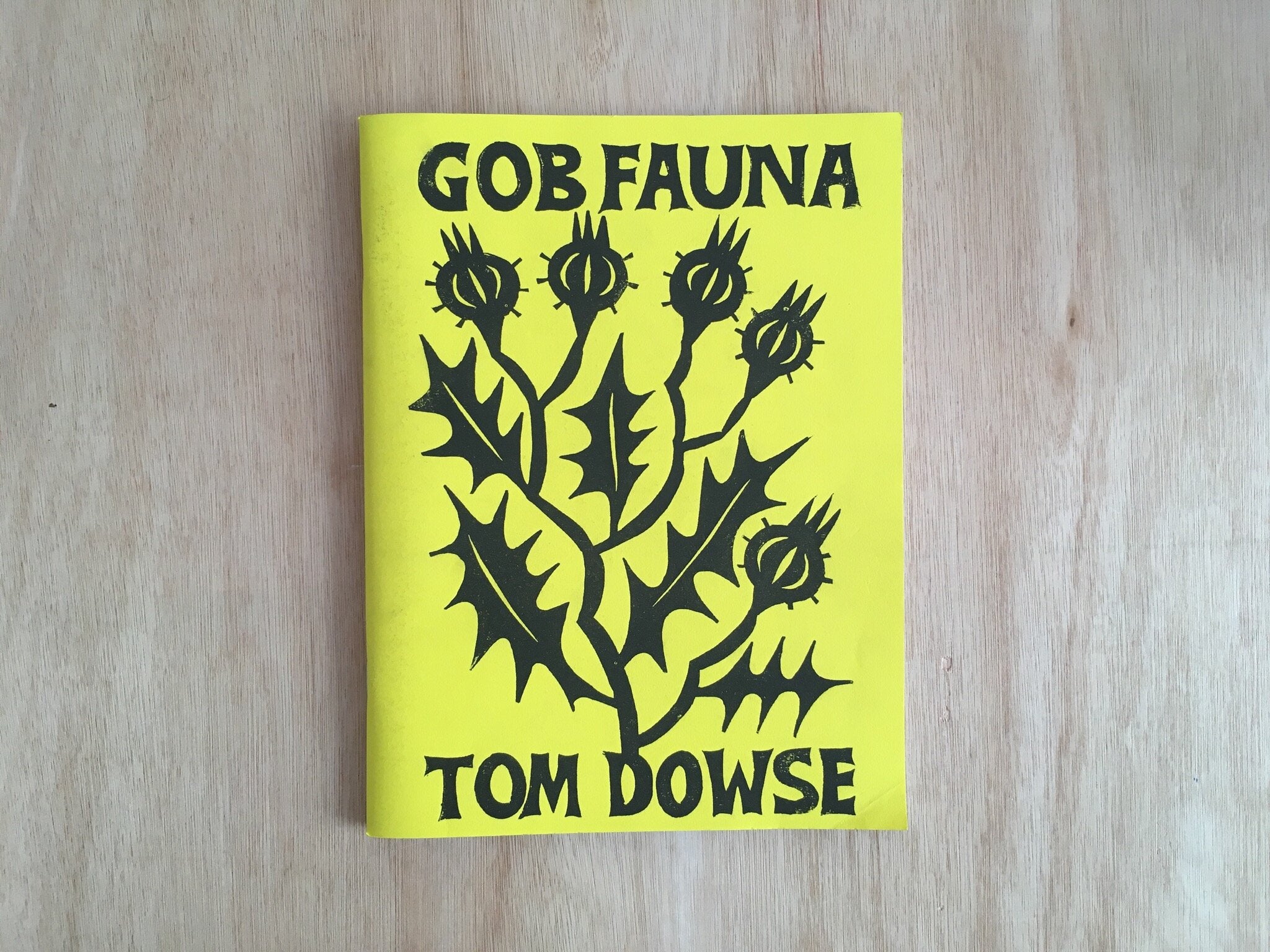 GOB FAUNA by Tom Dowse