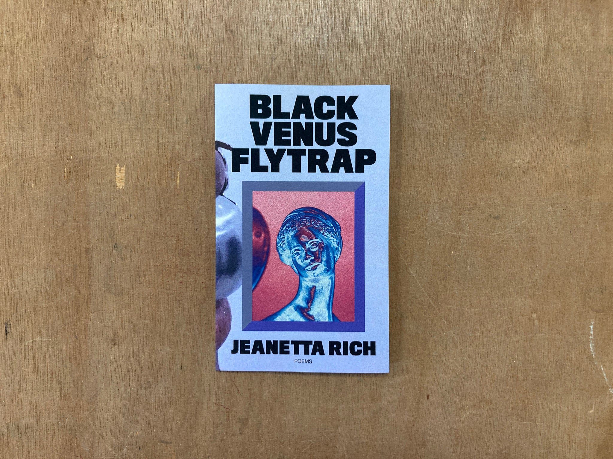 BLACK VENUS FLY TRAP by Jeanetta Rich