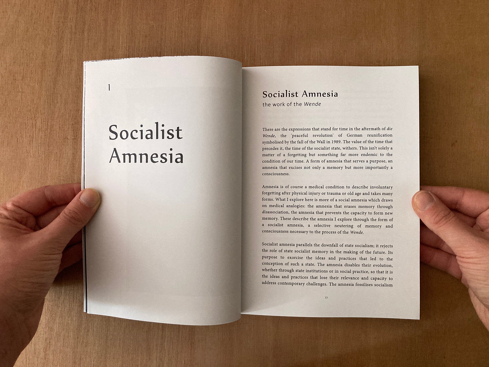 SOCIALIST AMNESIA by Siraj Izhar