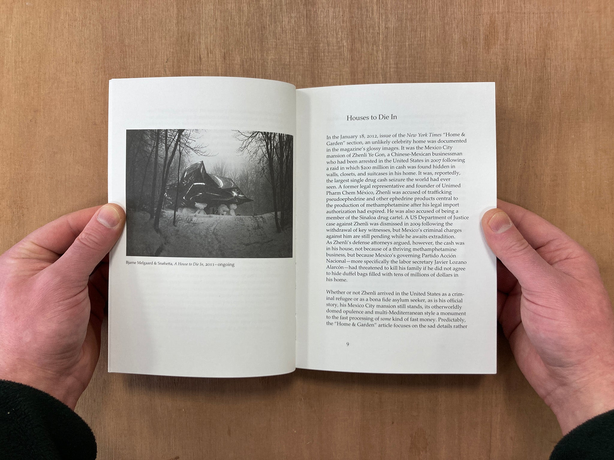 HOUSES TO DIE IN / AND OTHER ESSAYS ON ART by Ina Blom