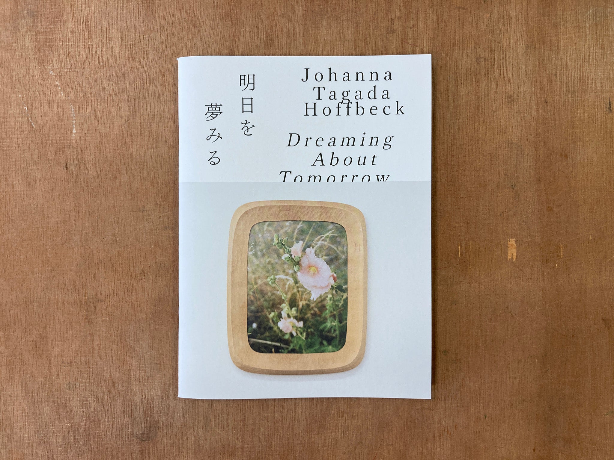 DREAMING ABOUT TOMORROW by Johanna Tagada Hoffbeck