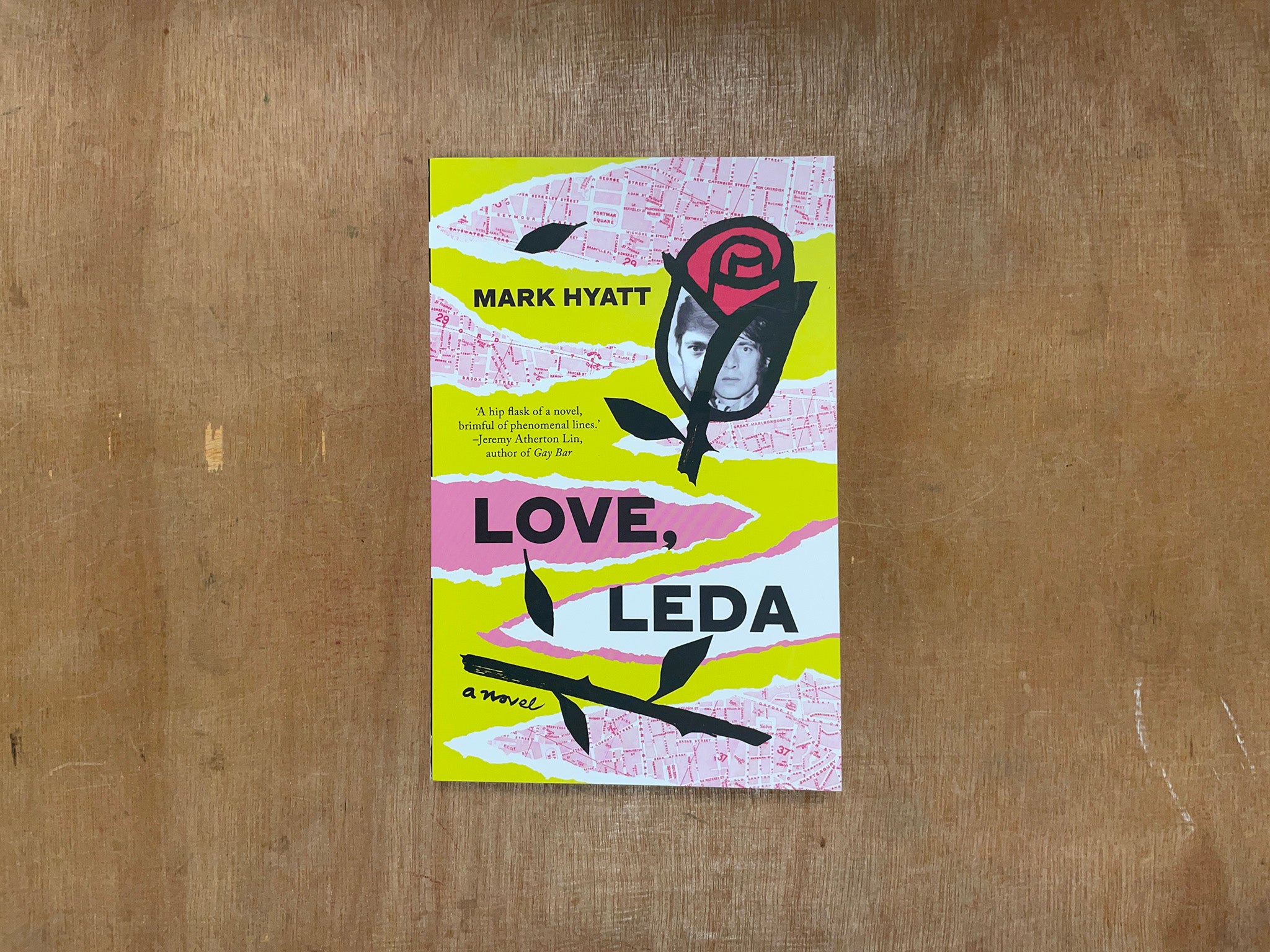 LOVE, LEDA by Mark Hyatt