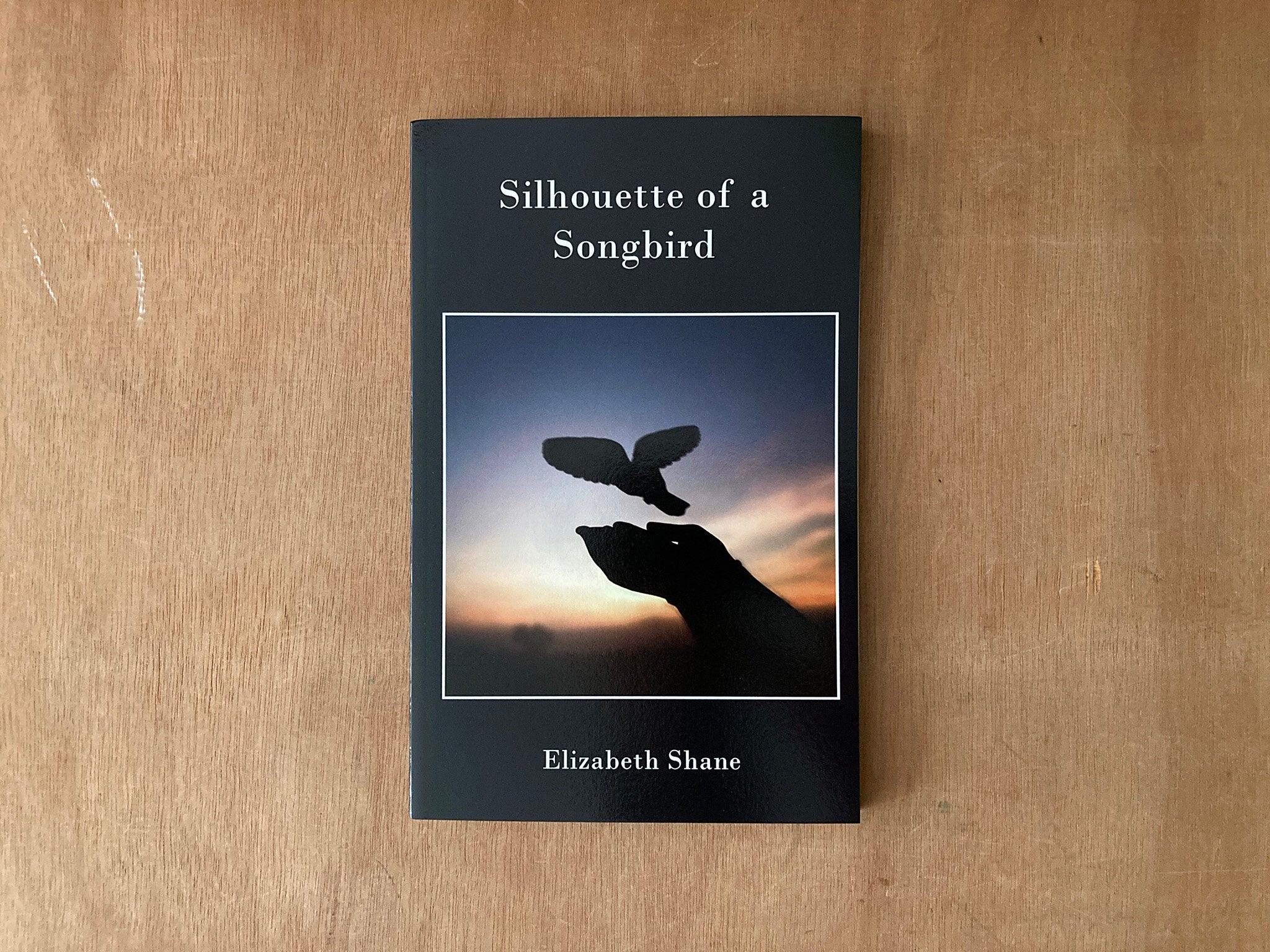 SILHOUETTE OF A SONGBIRD by Elizabeth Shane