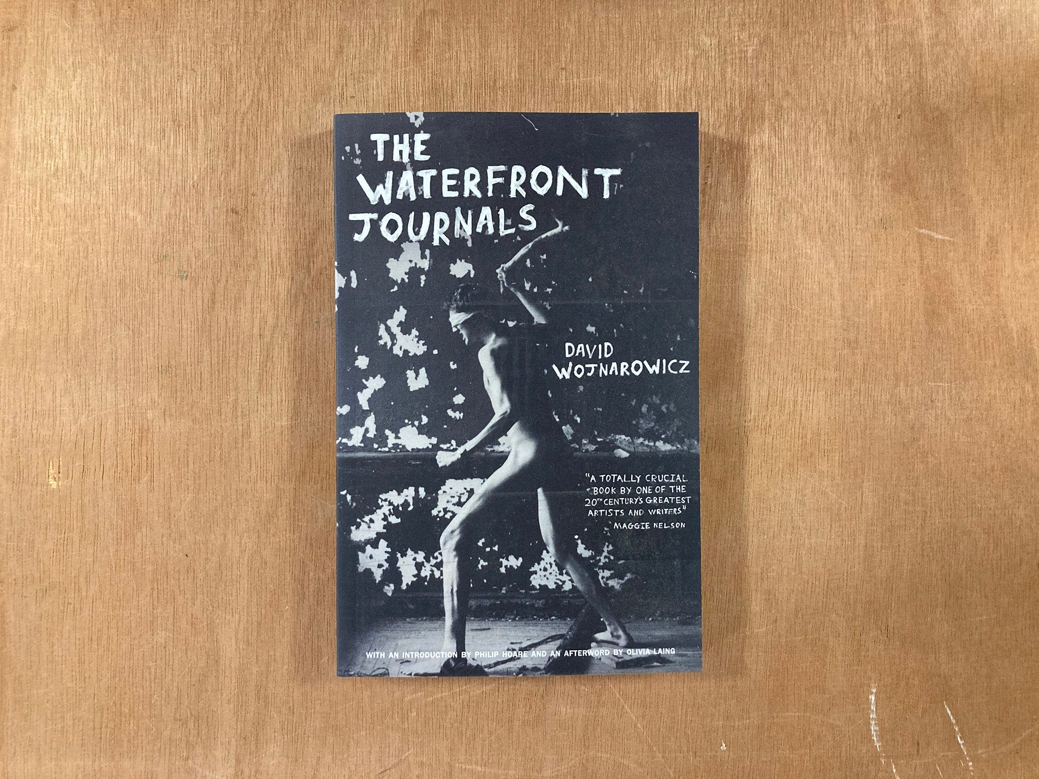 THE WATERFRONT JOURNALS by David Wojnarowicz