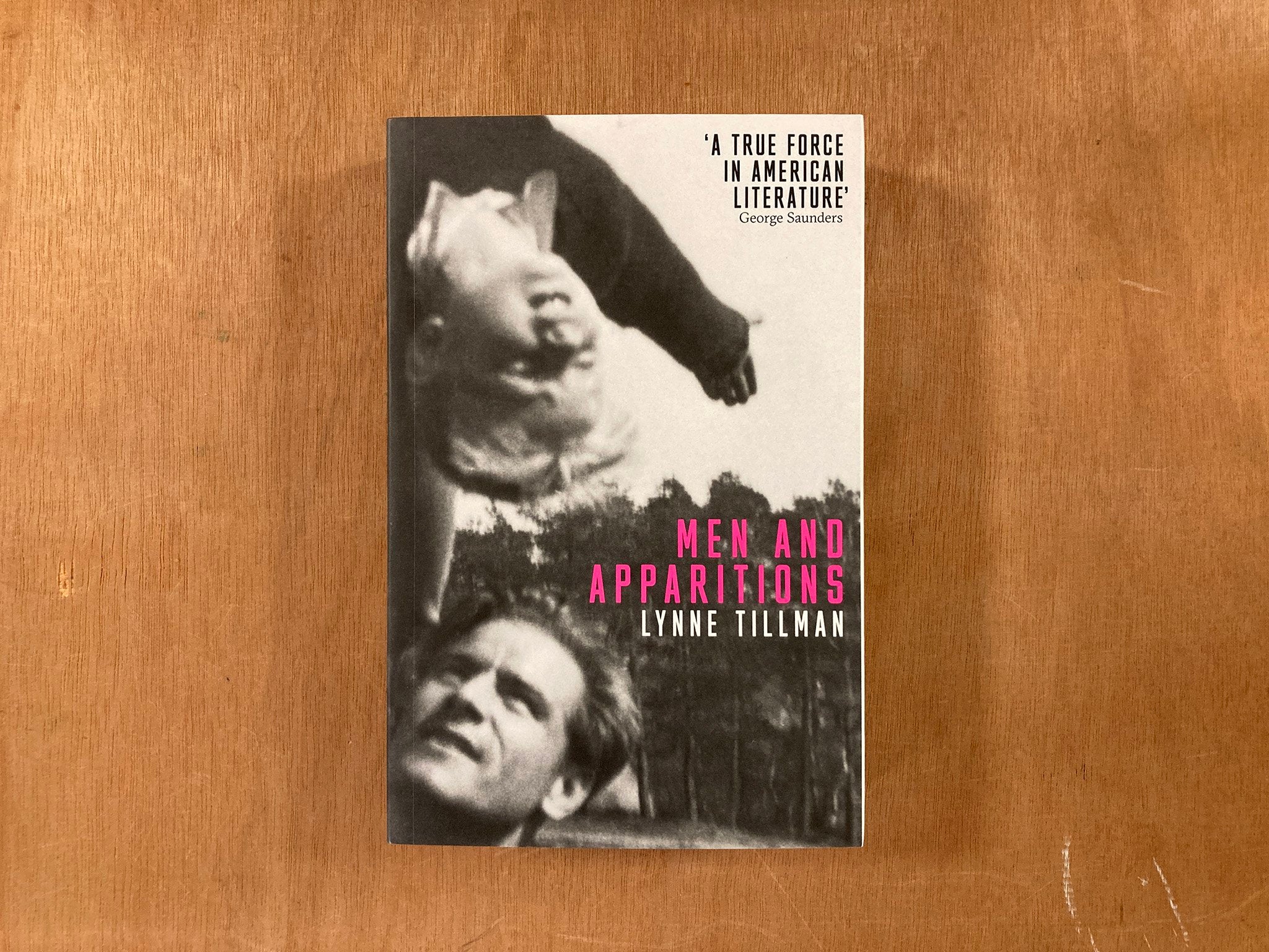 MEN AND APPARITIONS by Lynne Tillman