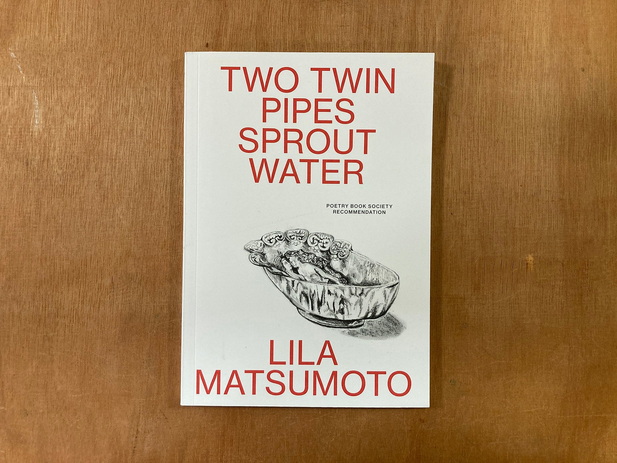 TWO TWIN PIPES SPROUT WATER by Lila Matsumoto