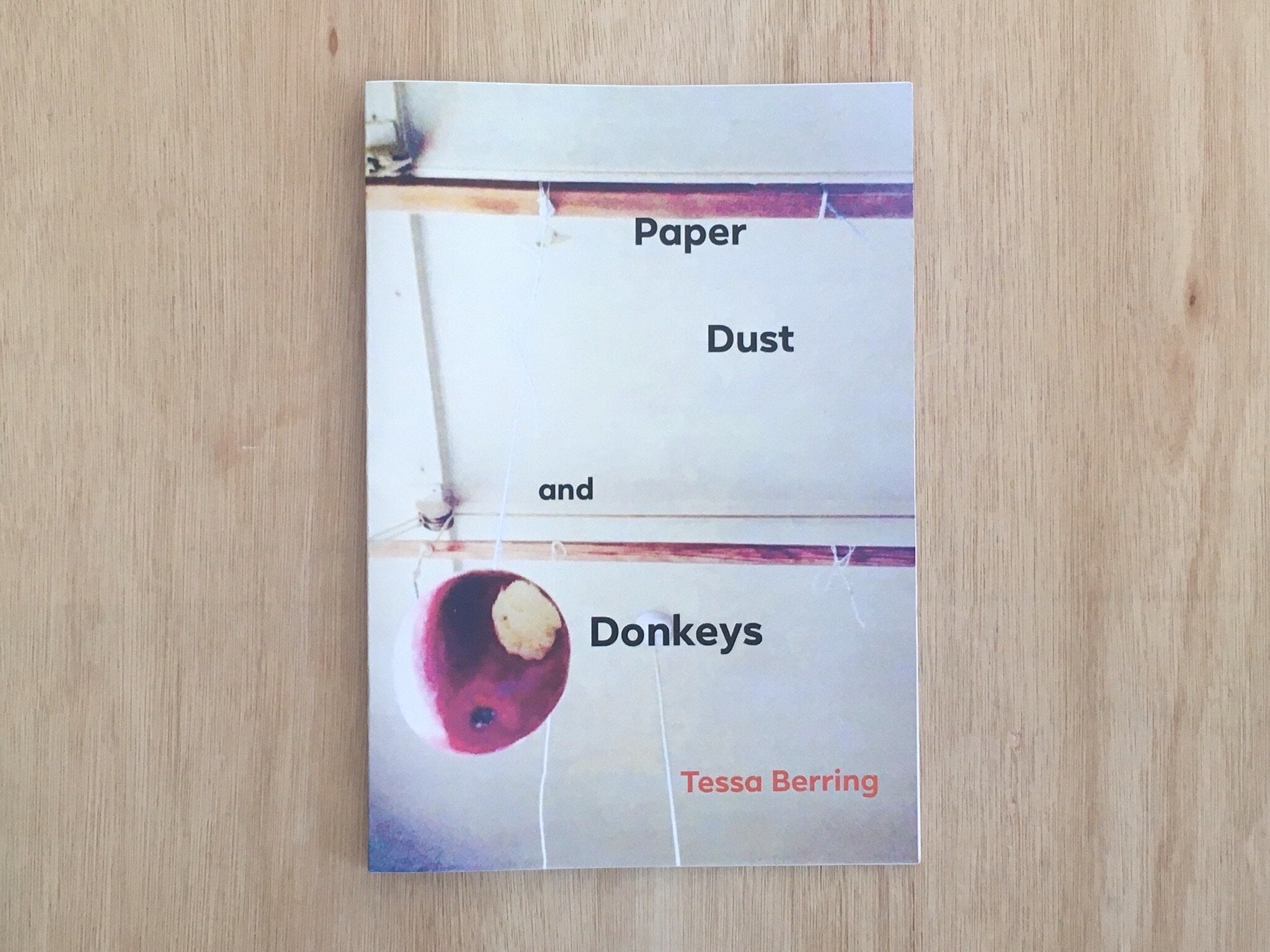 PAPER DUST AND DONKEYS by Tessa Berring
