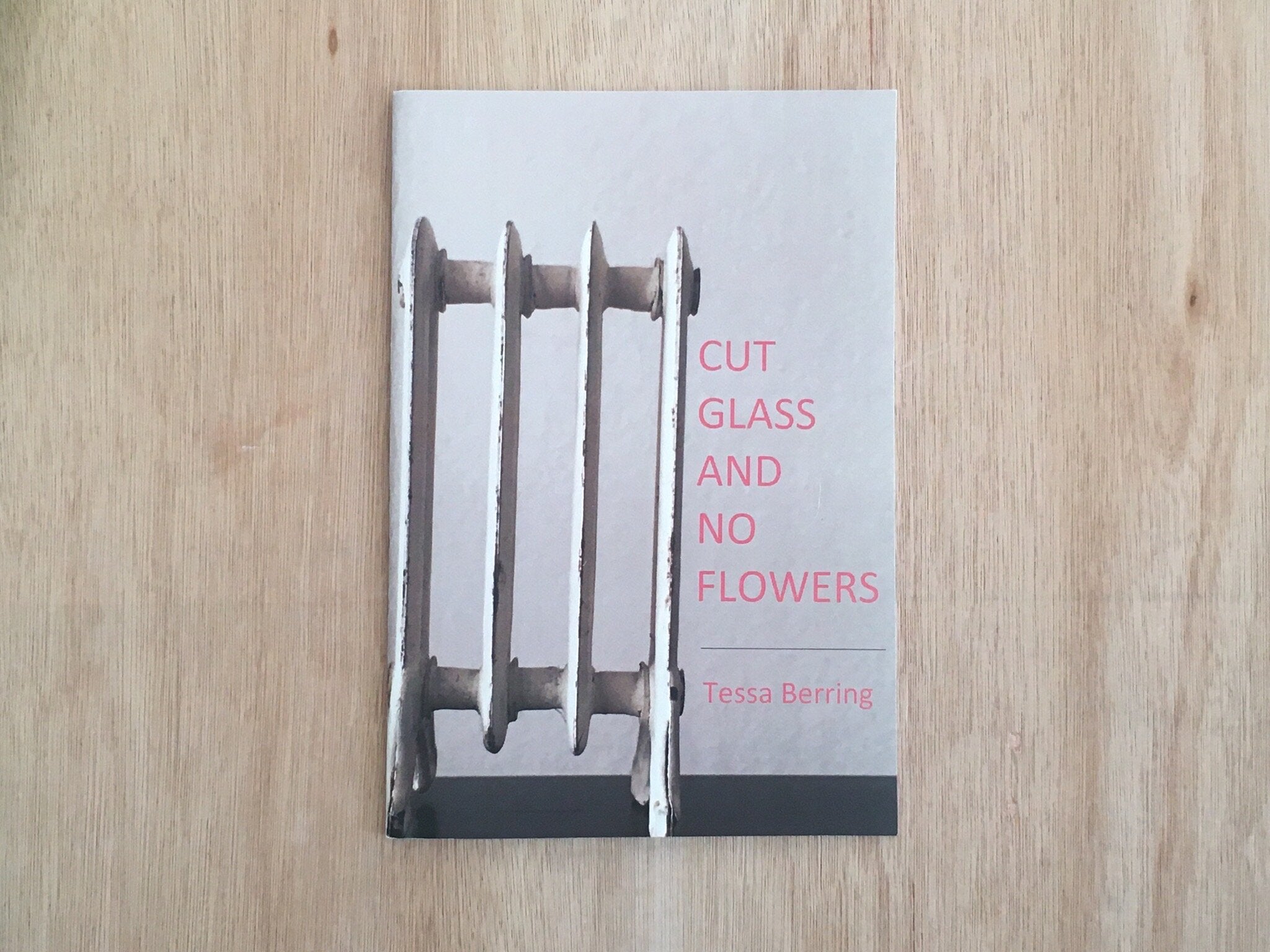 CUT GLASS AND NO FLOWERS by Tessa Berring