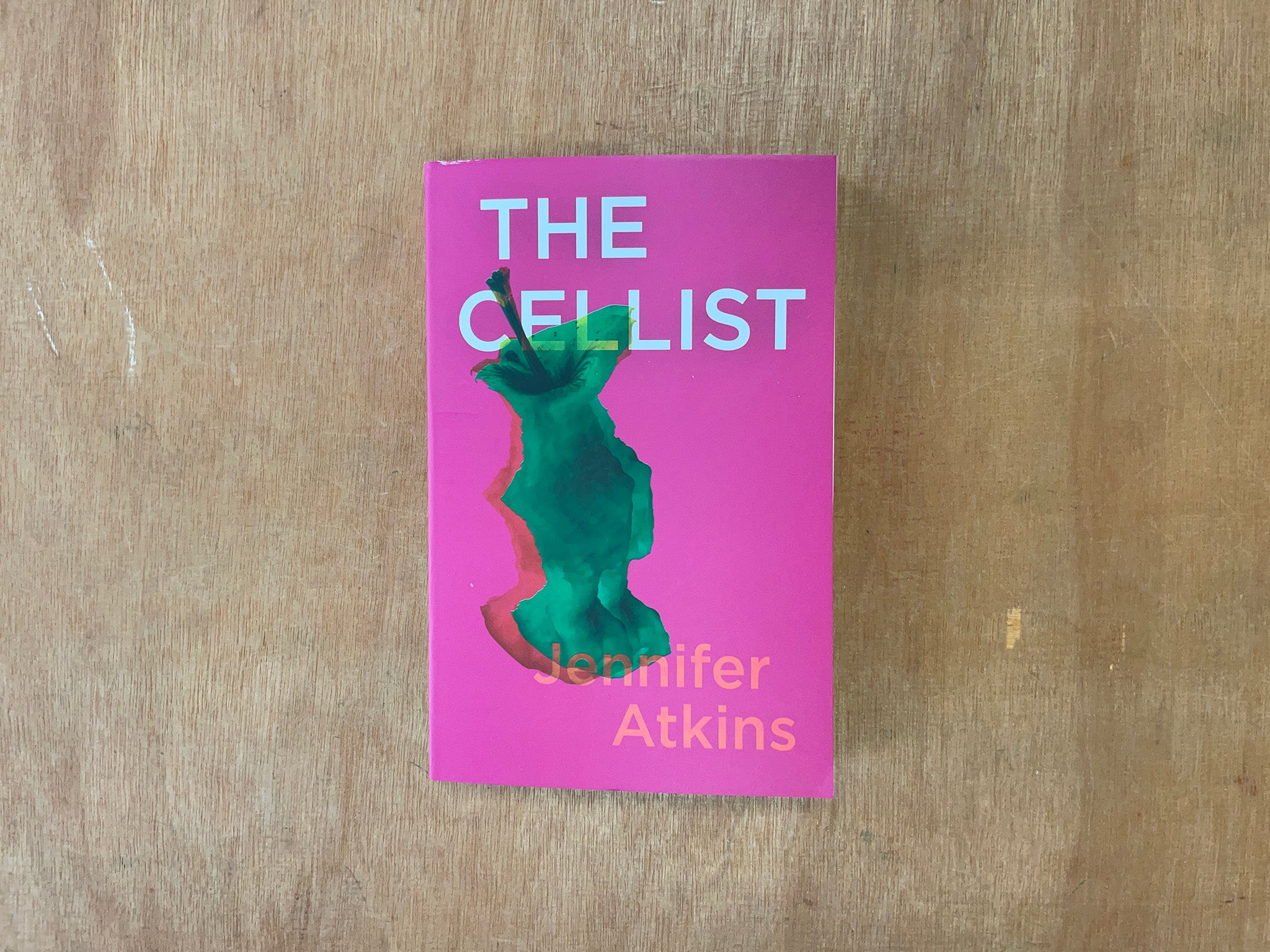 THE CELLIST by Jennifer Atkins