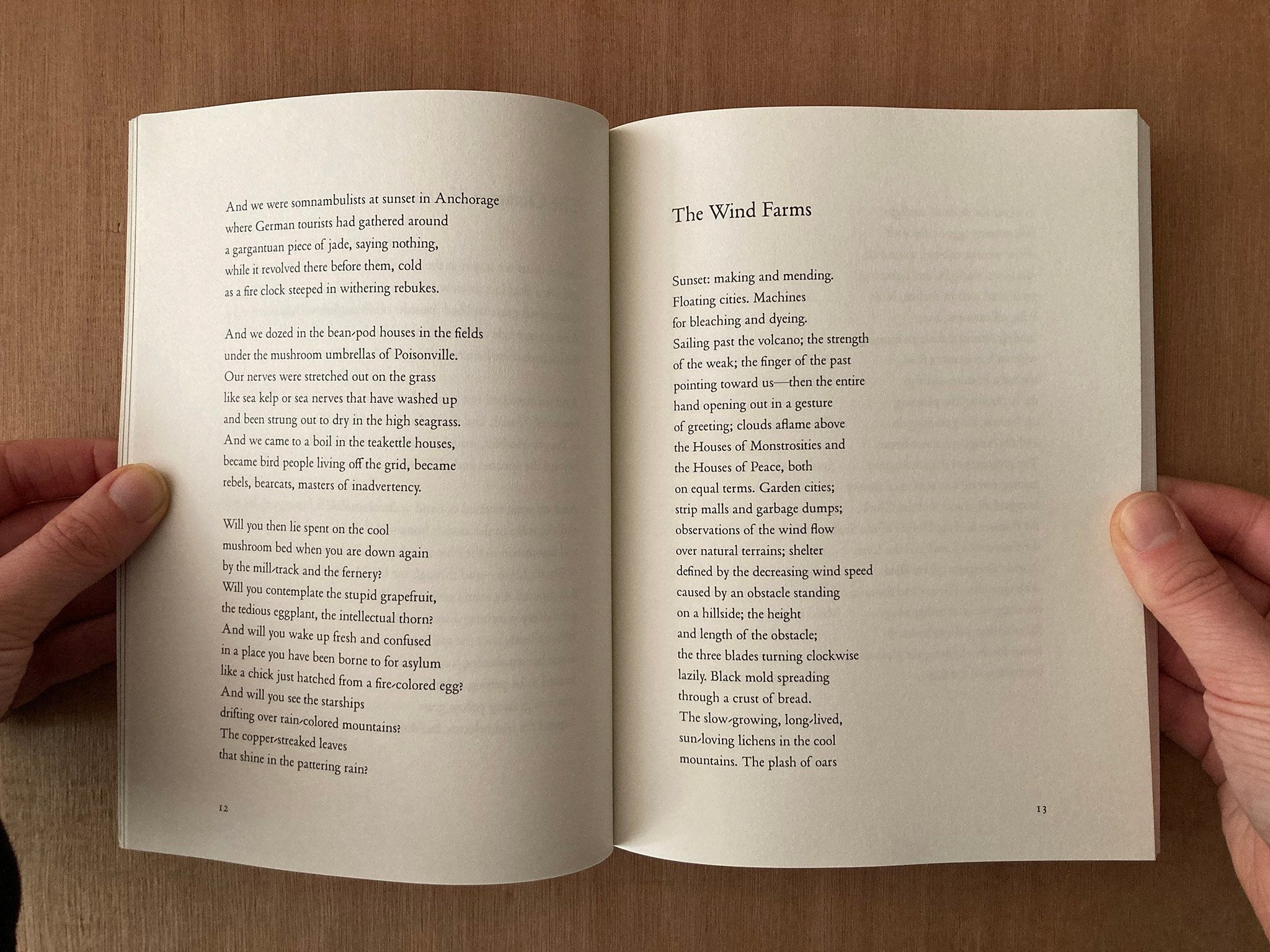 GIANT MOTH PERISHES by Geoffrey Nutter – Good Press — good books & more