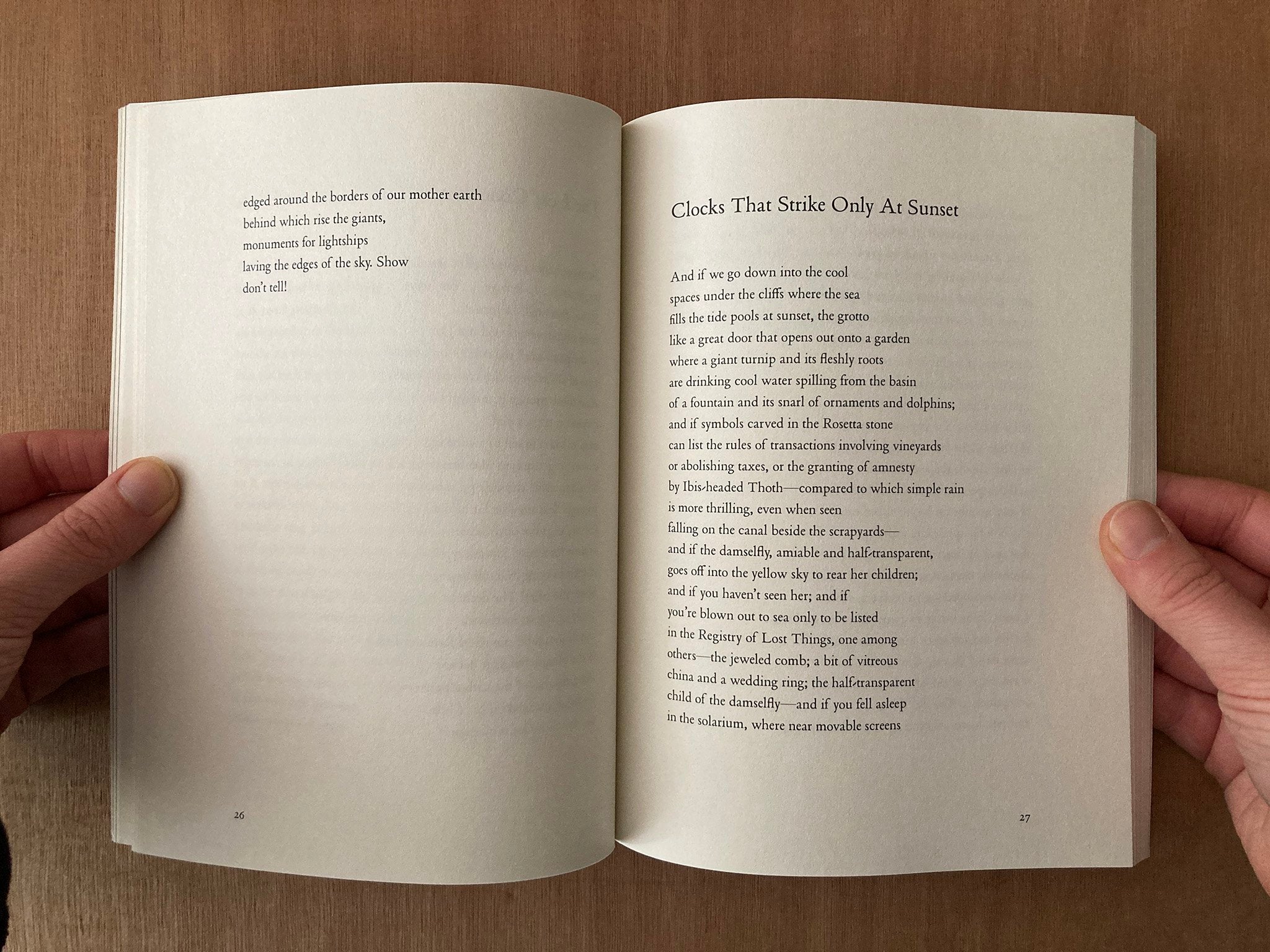 GIANT MOTH PERISHES by Geoffrey Nutter – Good Press — good books & more