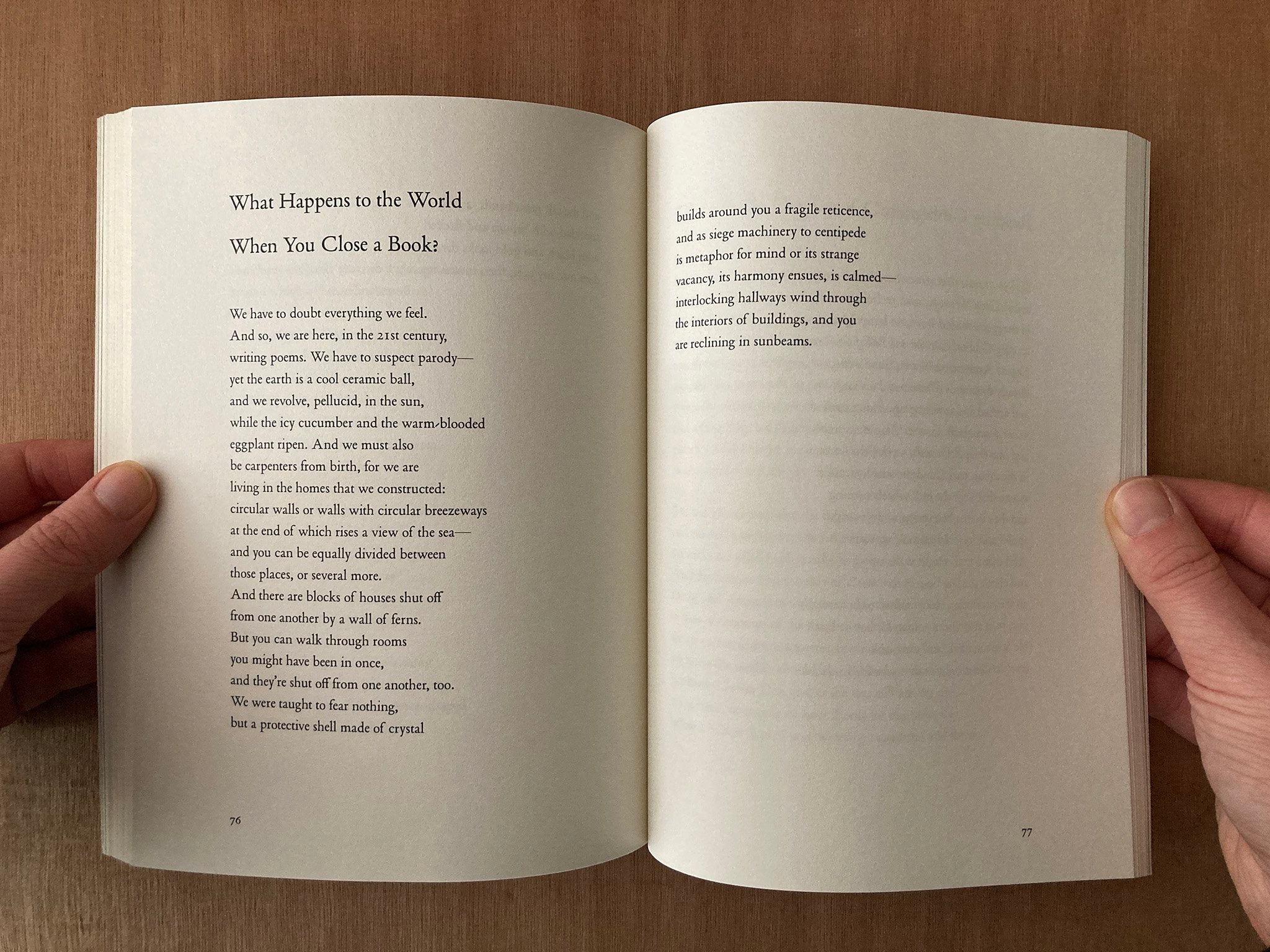 GIANT MOTH PERISHES by Geoffrey Nutter – Good Press — good books & more
