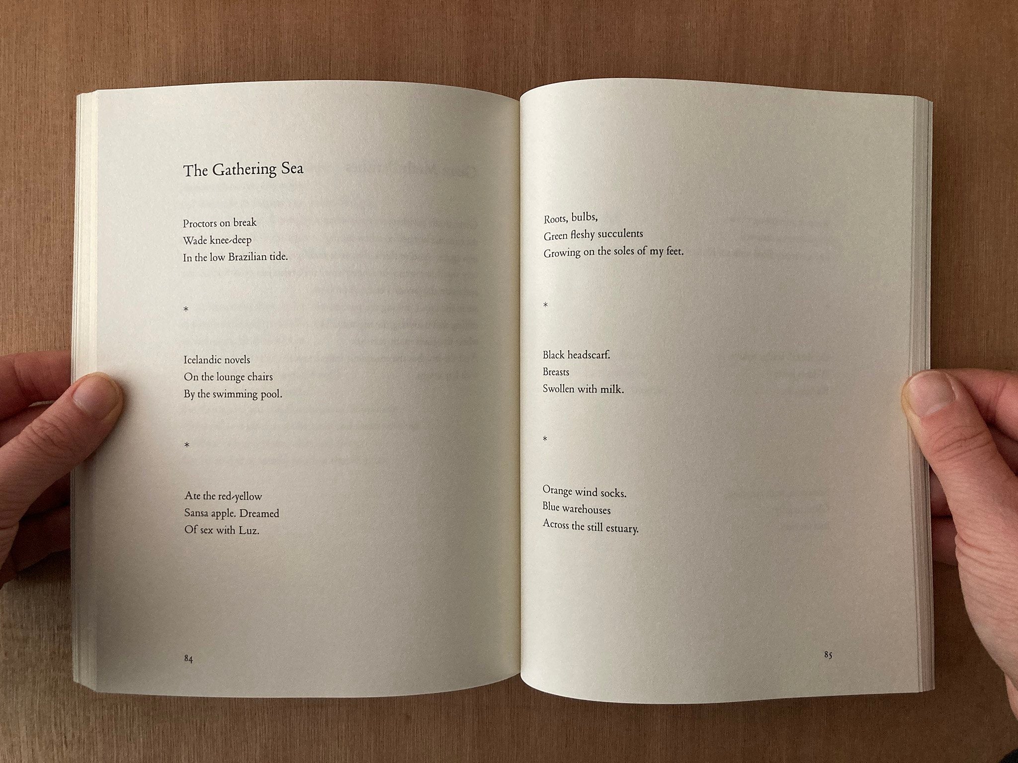 GIANT MOTH PERISHES by Geoffrey Nutter – Good Press — good books & more