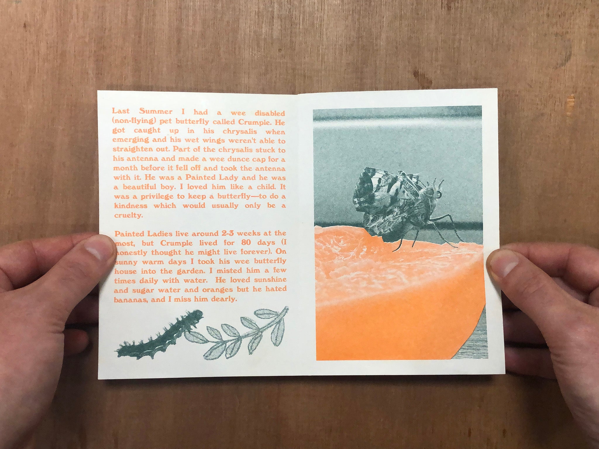 CRUMPLE ZINE by Andrew J Beltran & Flannery O'Kafka