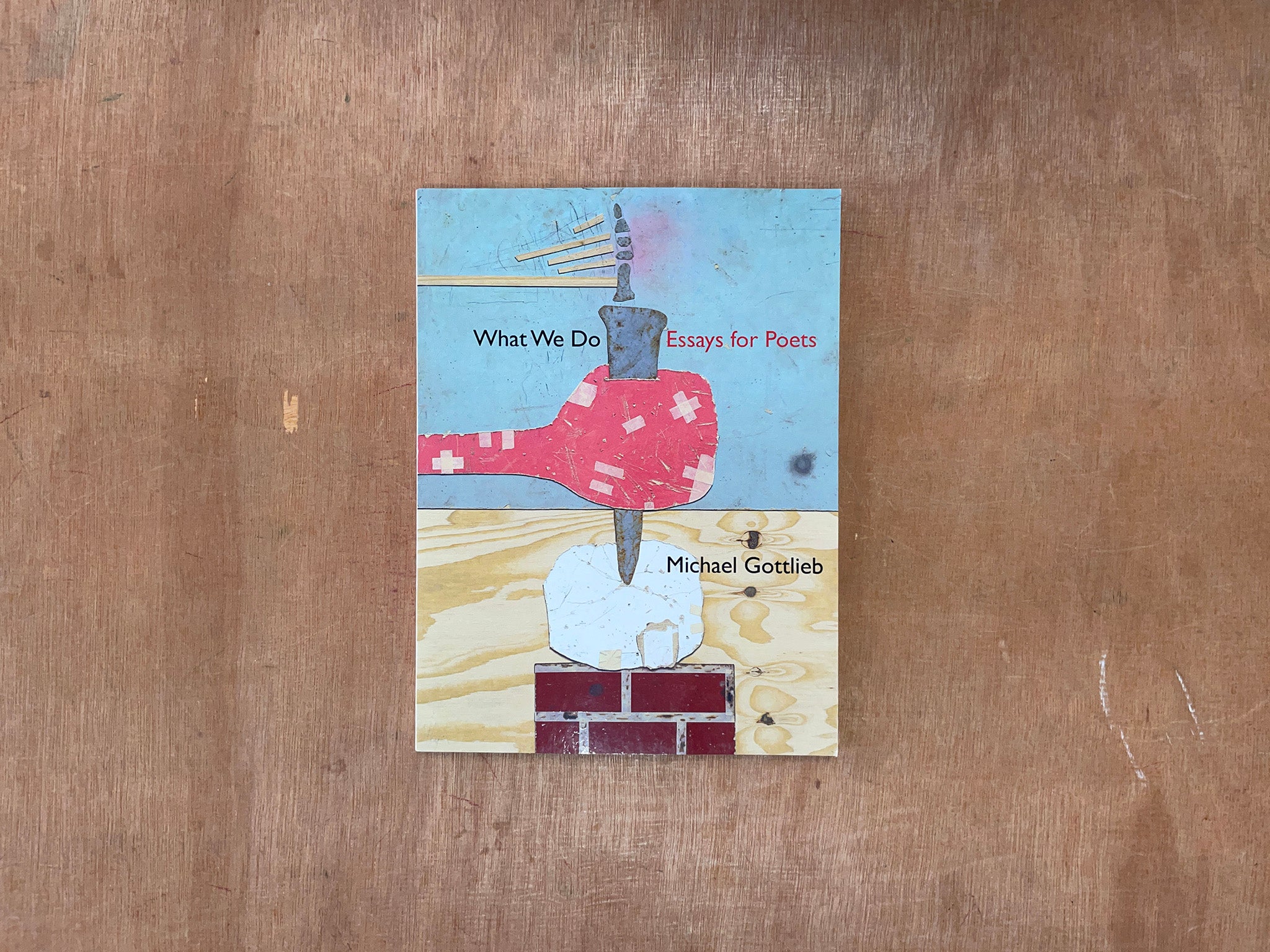 WHAT WE DO: ESSAYS FOR POETS by Michael Gottlieb