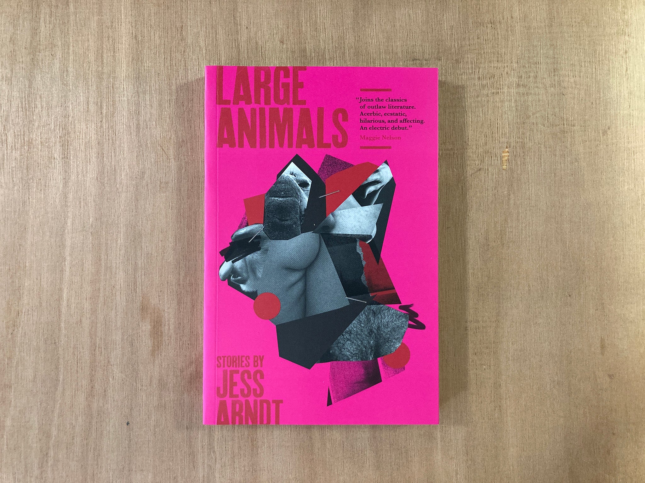 LARGE ANIMALS by Jess Arnott