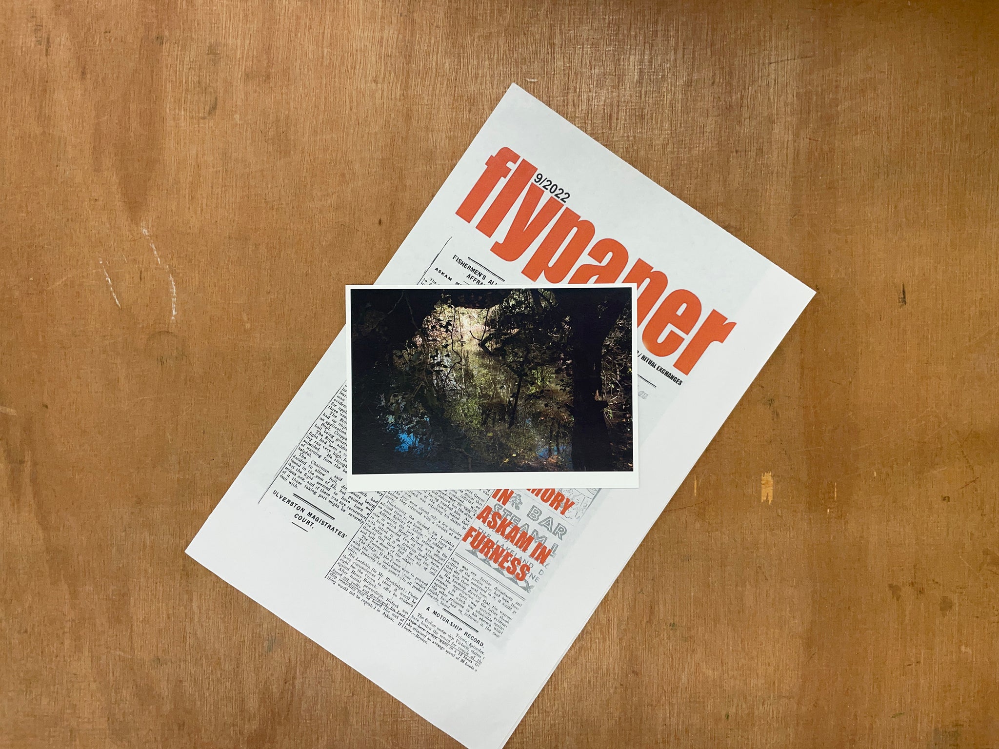 FLYPAPER #9