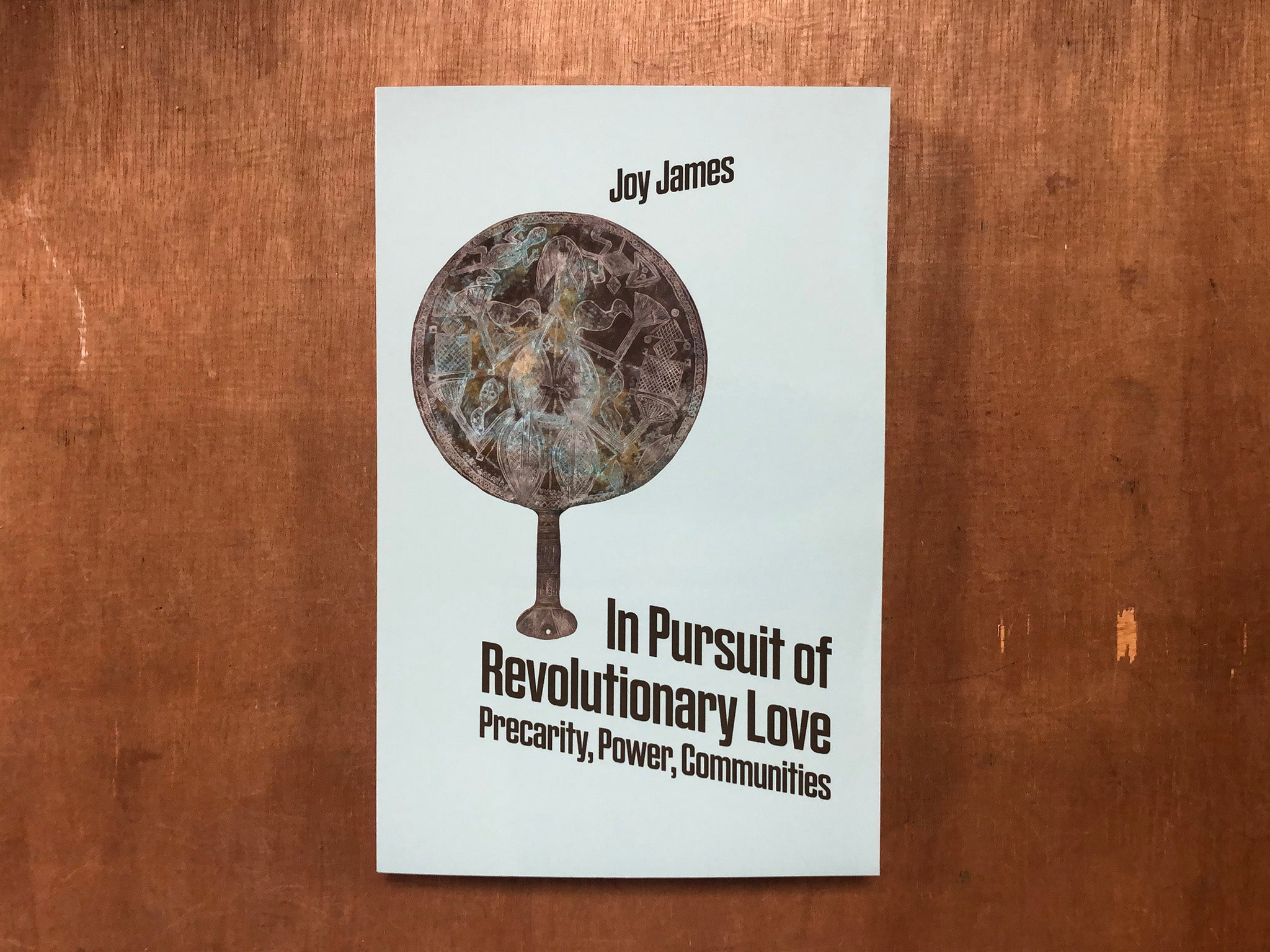 IN PURSUIT OF REVOLUTIONARY LOVE: PRECARITY, POWER, COMMUNITIES by Joy James