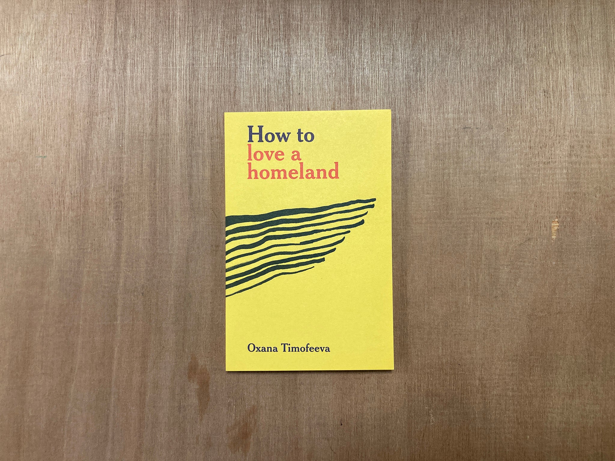 HOW TO LOVE A HOMELAND by Oxana Timofeeva