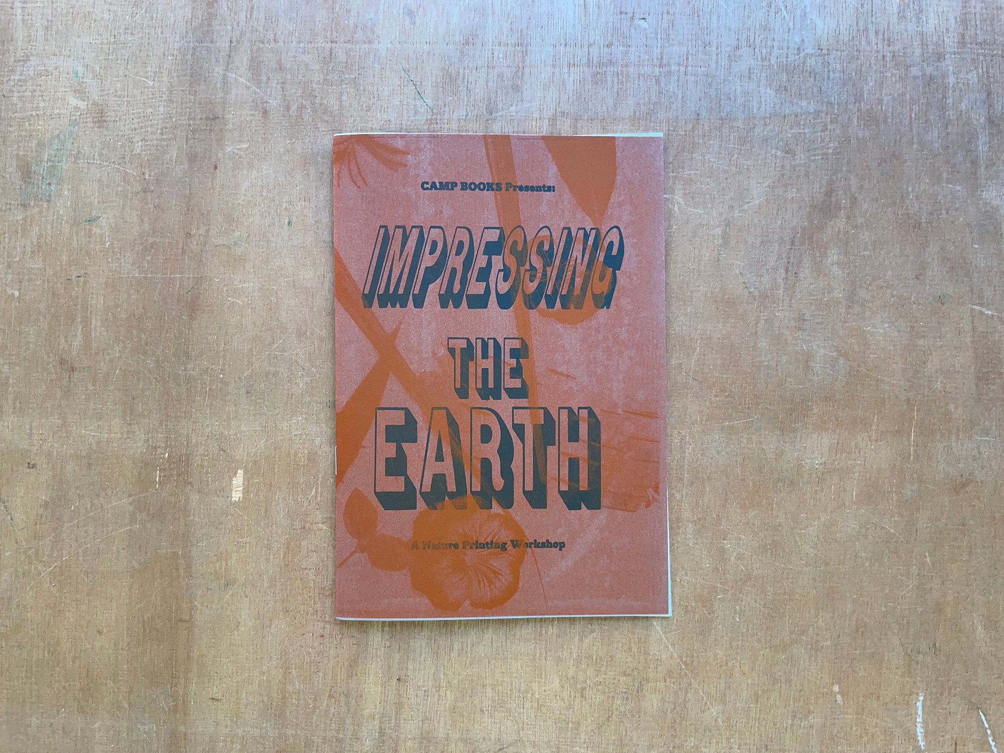 IMPRESSING THE EARTH by Brooke Palmieri
