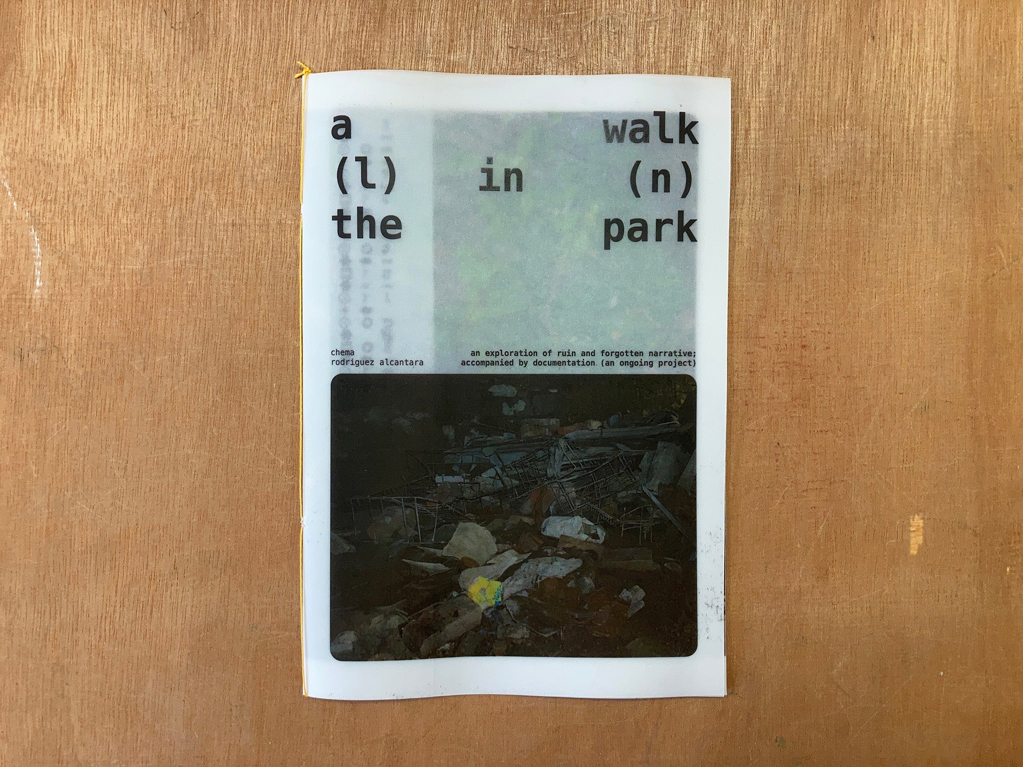 A WALK IN (L)IN(N) THE PARK by chema rodriguez alcantara