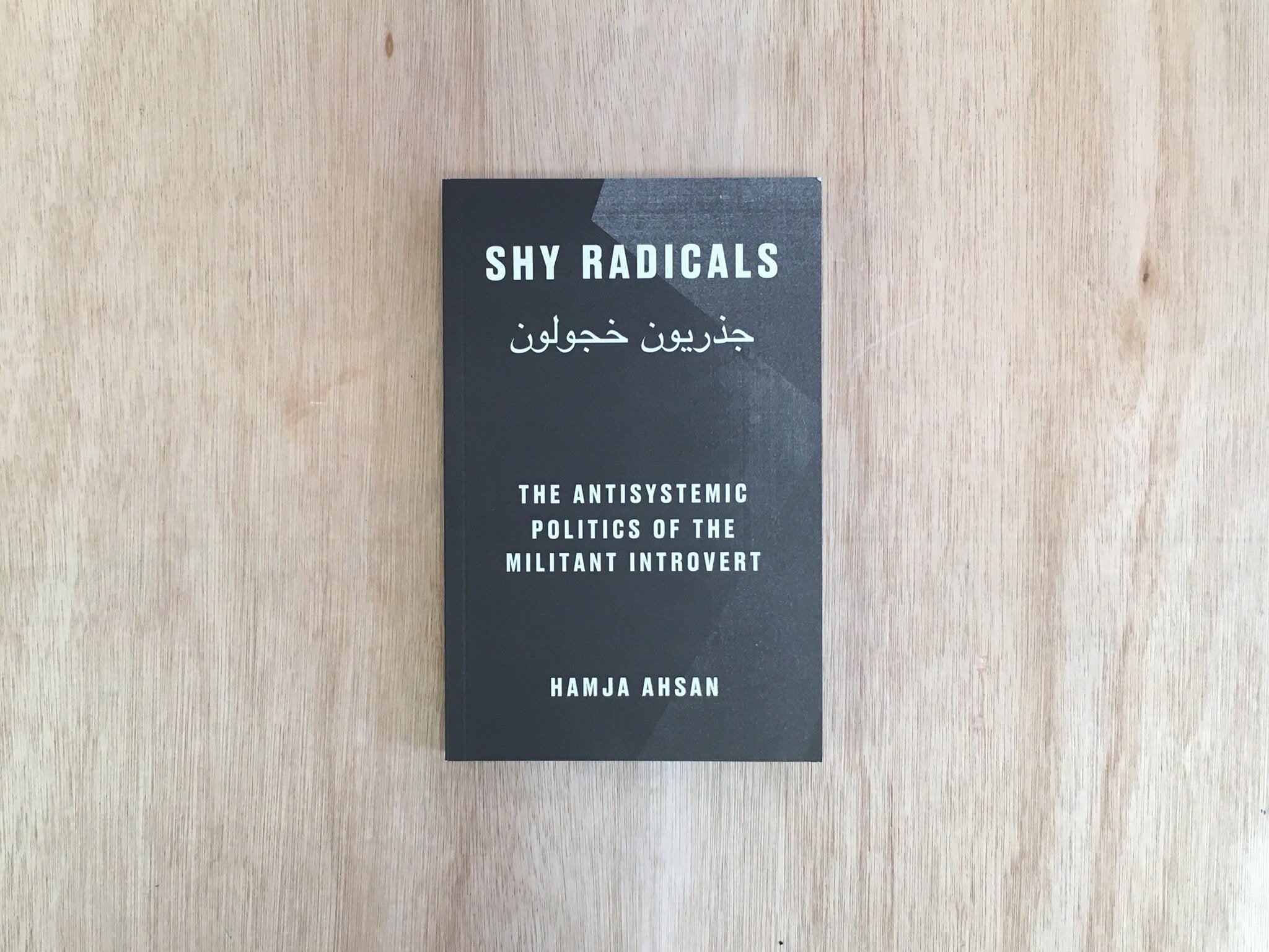 SHY RADICALS: THE ANTISYSTEMIC POLITICS OF THE MILITANT INTROVERT by Hamja Ahsan