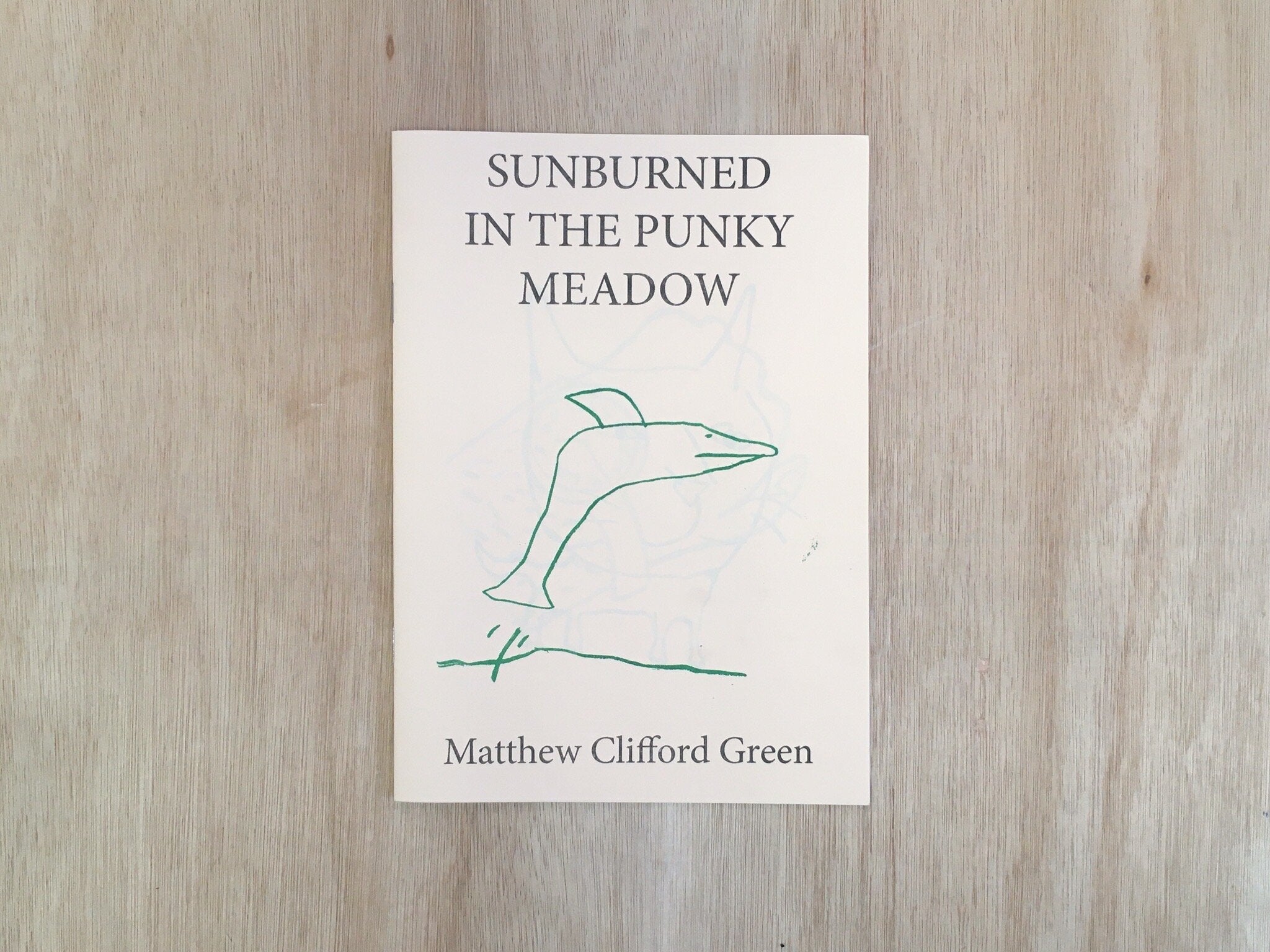 SUNBURNED IN THE PUNKY MEADOW by Matthew Clifford Green