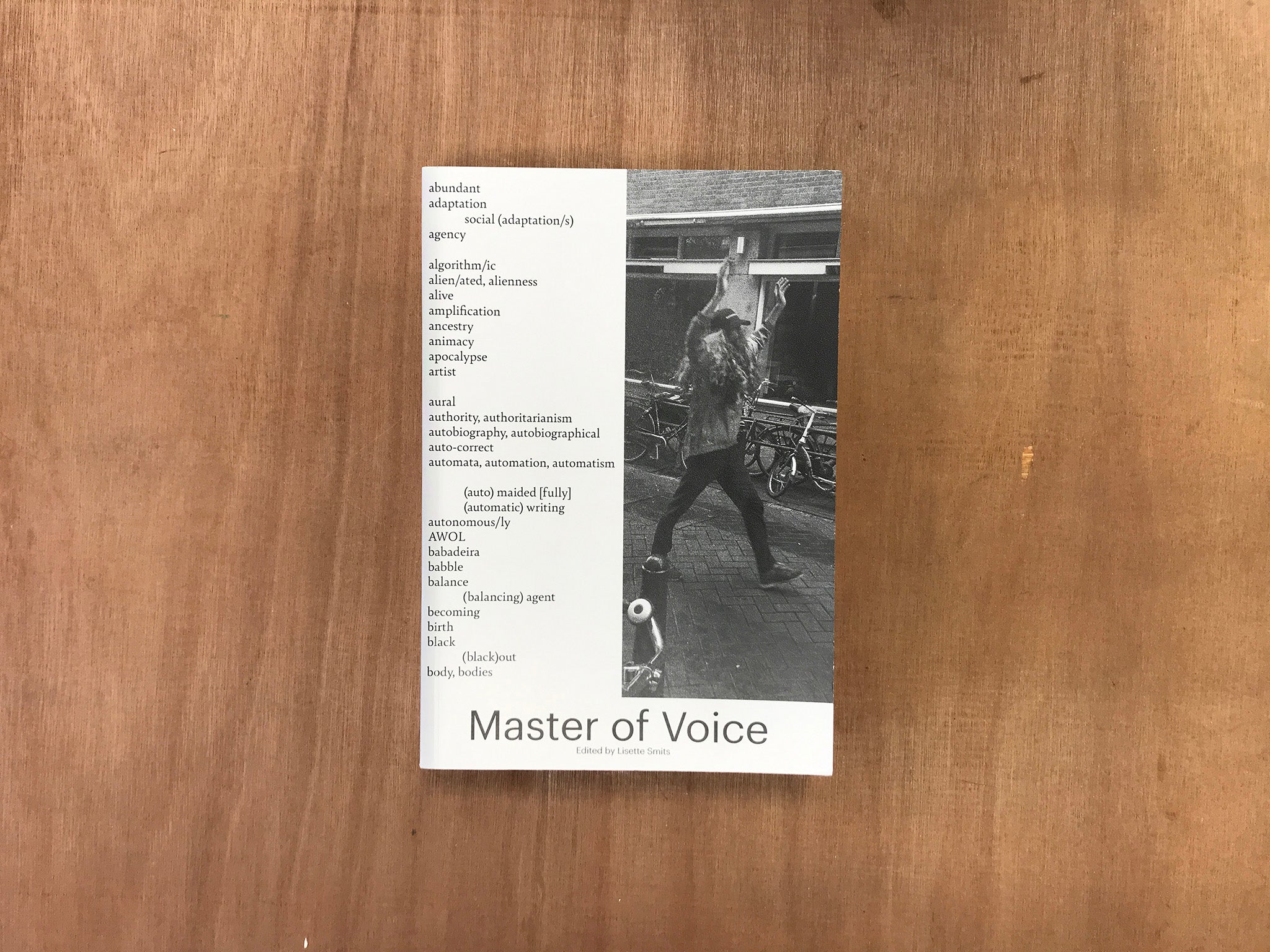 MASTER OF VOICE by Lisette Smiths
