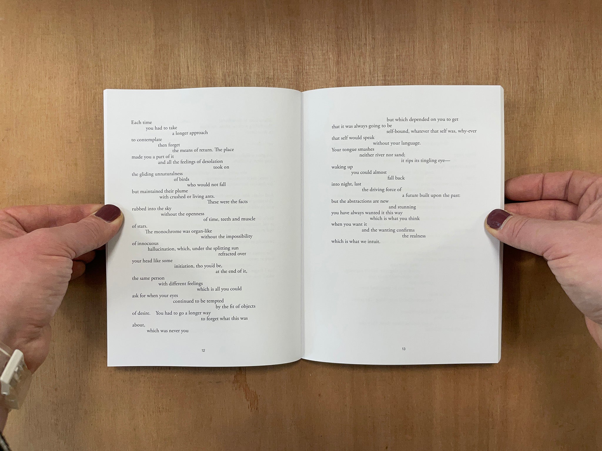 SUEDE MANTIS / SOFT RAGE by Jennifer Soong â Good Press â good books & more