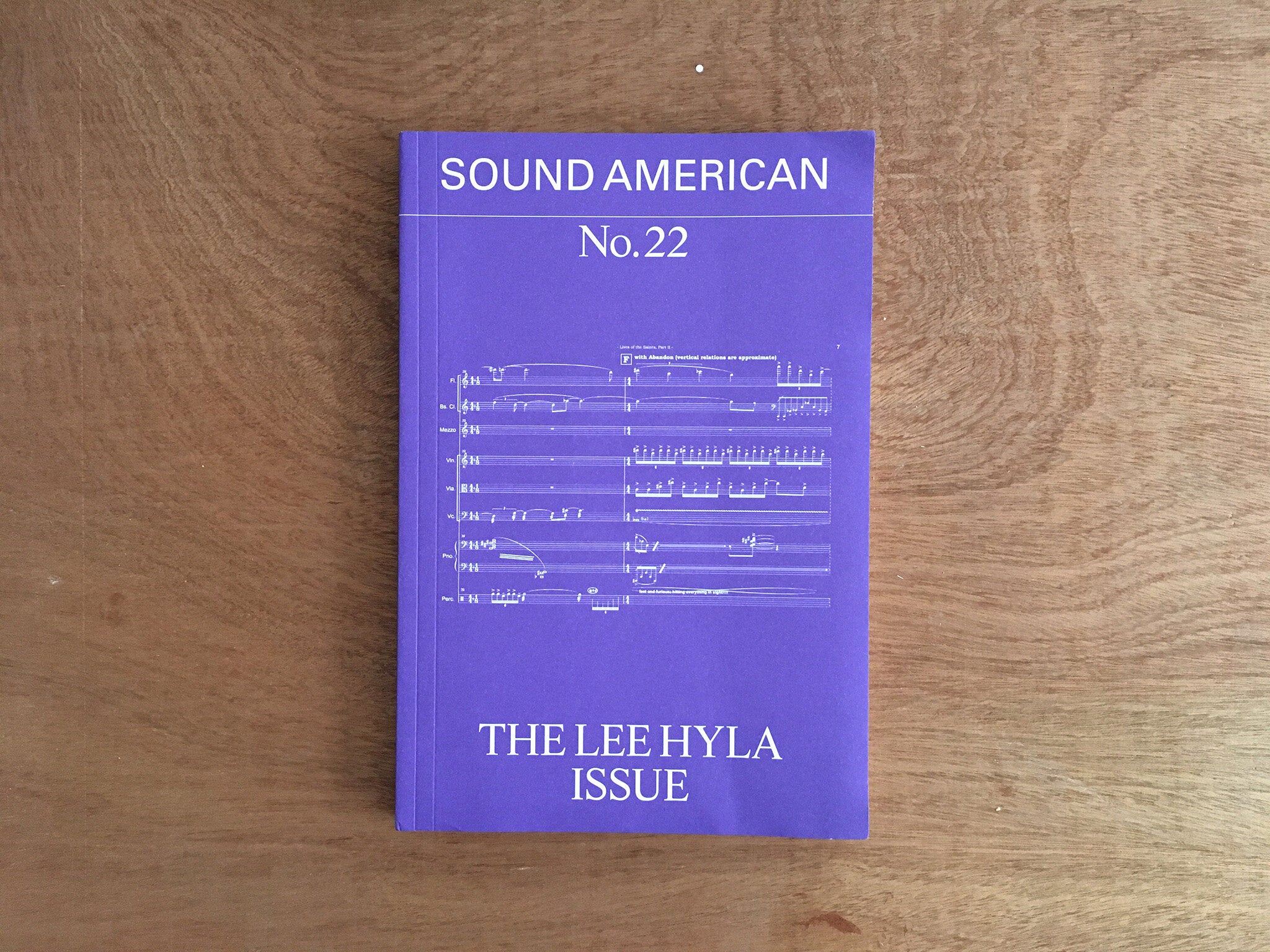 SOUND AMERICAN #22 — THE LEE HYLA ISSUE