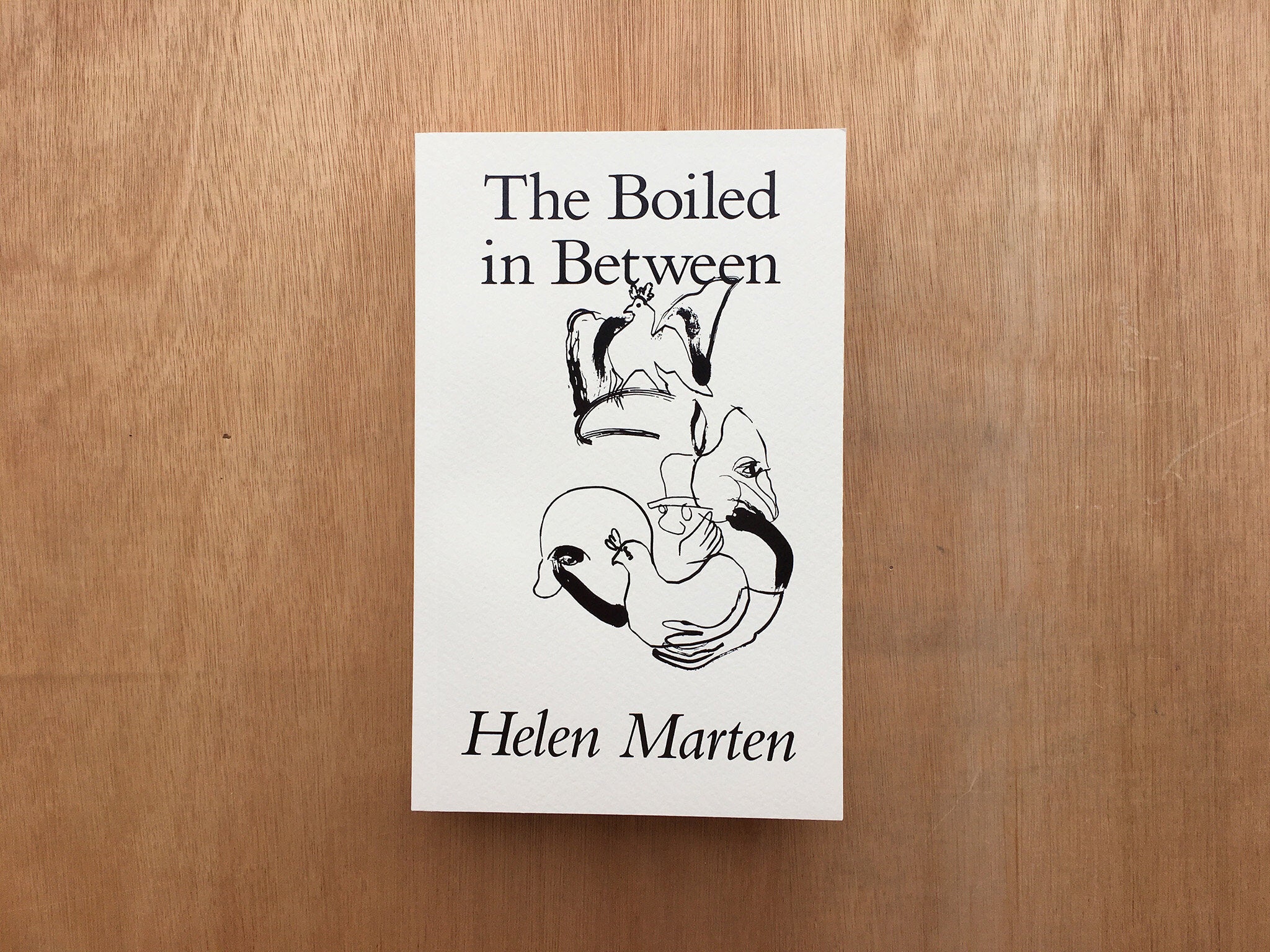 THE BOILED IN BETWEEN by Helen Marten