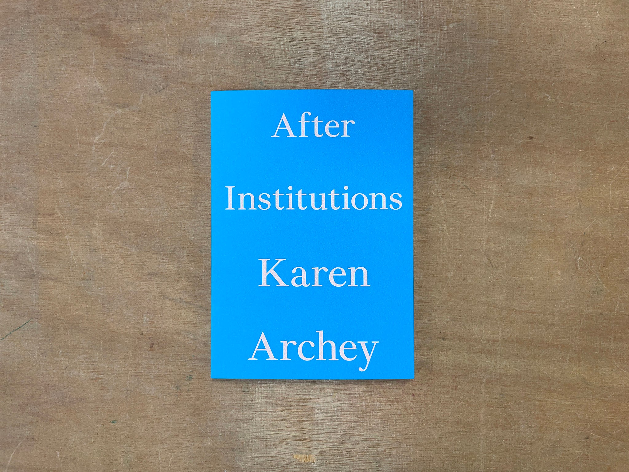 AFTER INSTITUTIONS by Karen Archey