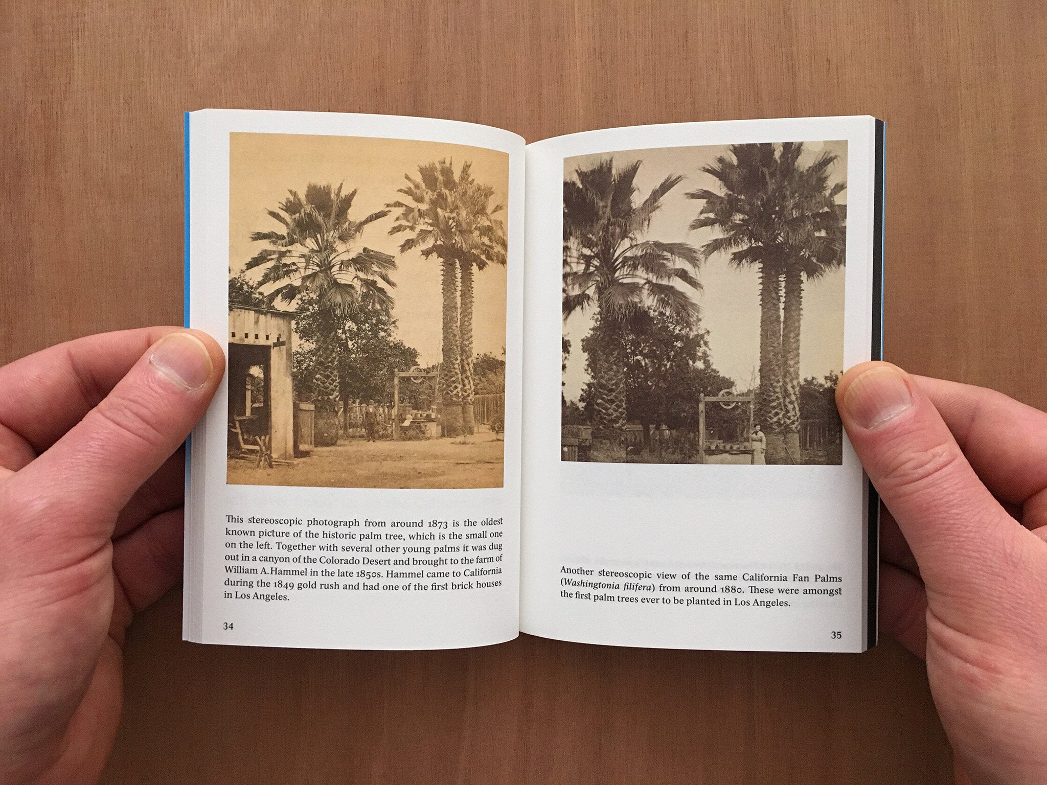 THE BOOK OF RECORD OF THE PALM CAPSULE: DESIGNED FOR RESISTING THE EFFECTS OF TIME by Christian Kosmas Mayer