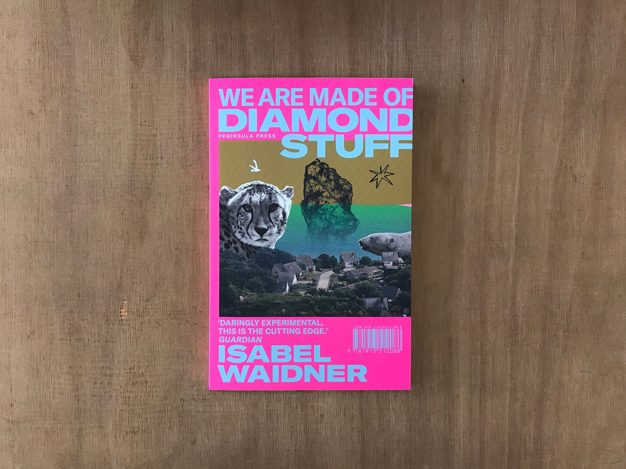 WE ARE MADE OF DIAMOND STUFF by Isabel Waidner